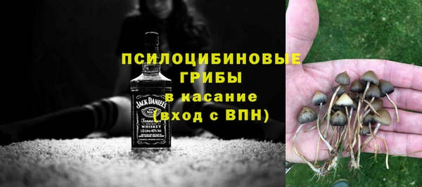 индика Богородицк