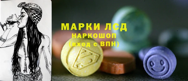 СК Бородино