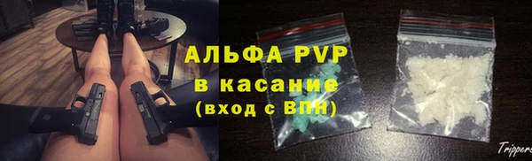 СК Бородино
