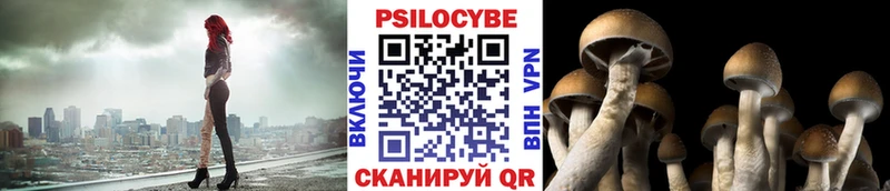 купить наркотик  Старица  Галлюциногенные грибы MAGIC MUSHROOMS 